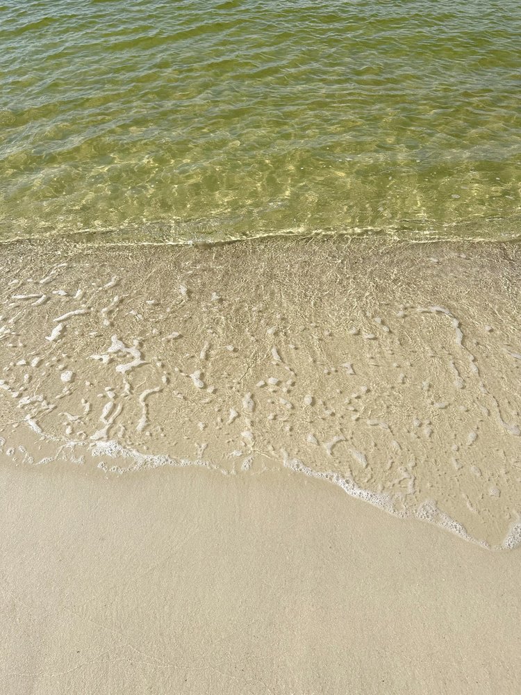 Alabama Point Image
