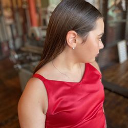 Dani Newman Hair Design - Formal hairstyles