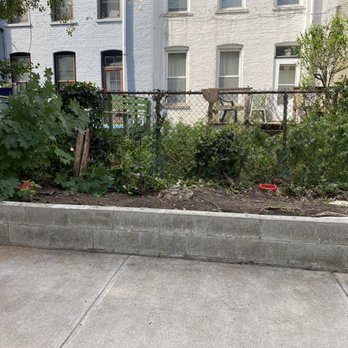 Family Tree Service - All done!! - Tree Services Near Me - Staten Island, New York