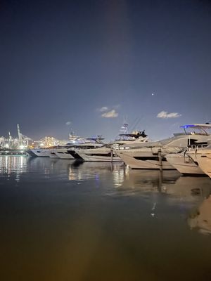Monty's Sunset - South Beach by null