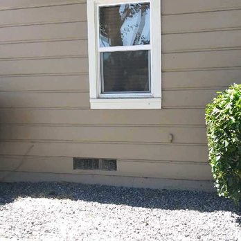 Jimmie's Tree Company - After Side View. Complete trim and shape of these hedges. - Tree Services Near Me Jimmie's Tree Company - After Side View. Complete trim and shape of these hedges. - Tree Services Near Me