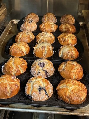 The Bagel Bakery Cafe by null