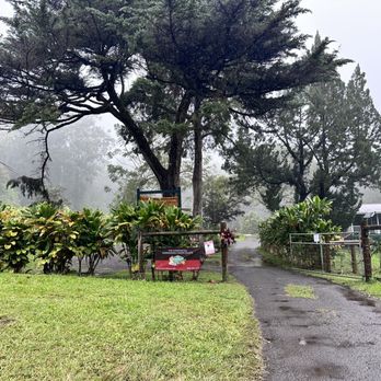 Honoka'a Chocolate - The Farm (Only tours) - Chocolatiers & Shops Near Me - Honokaa, Hawaii