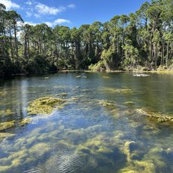 Horton Pond & Tupelo Trail - The pond
