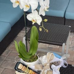 Naples Gift Baskets and Floral