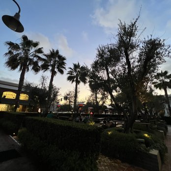Dripp - Exterior patio - Coffee & Tea Near Me - Fullerton, California