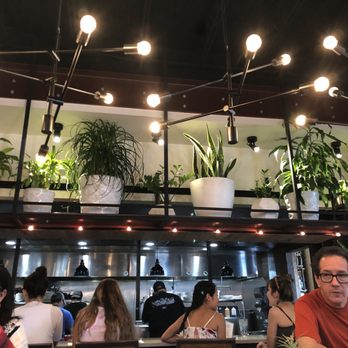DOMU - Ramen Near Me - Orlando, Florida