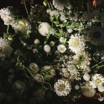 Belle Petal Events - Wedding Planning Near Me Belle Petal Events - Wedding Planning Near Me