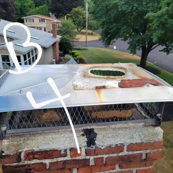 Canton Wildlife Removal - Wildlife Control Near Me - Canton, Massachusetts Canton Wildlife Removal - Wildlife Control Near Me - Canton, Massachusetts