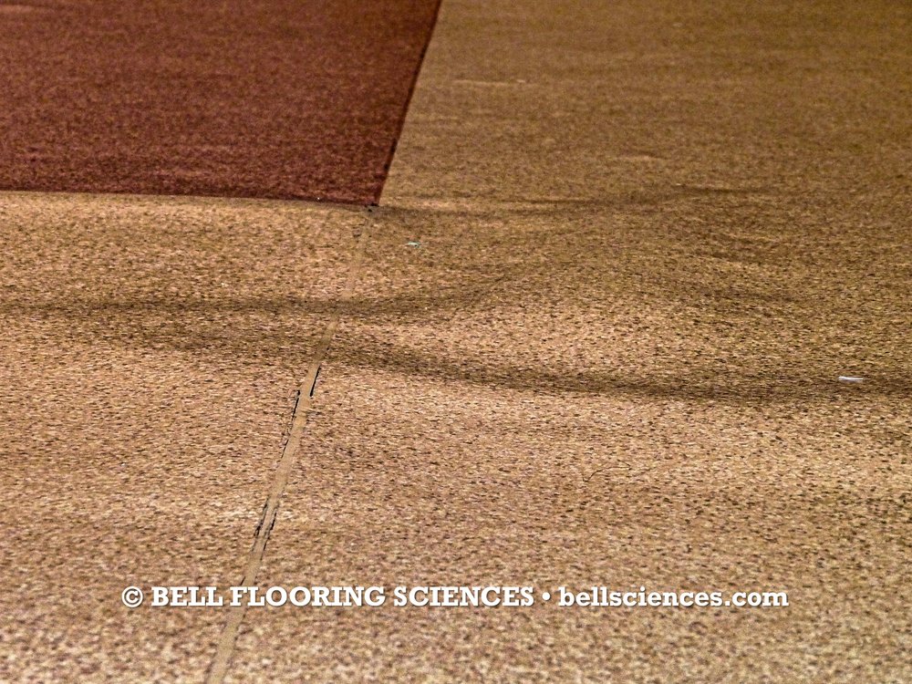 FloorSciences - mold inspector in Atlanta, GA