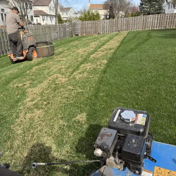 Global Landscape - Detaching. (Removal of dead grass) - Lawn Services Near Me Global Landscape - Detaching. (Removal of dead grass) - Lawn Services Near Me