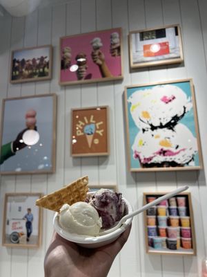 Jeni's Splendid Ice Creams by null