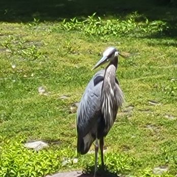 Buttonwood Park Zoo - Zoos Near Me - New Bedford, Massachusetts Buttonwood Park Zoo - Zoos Near Me - New Bedford, Massachusetts