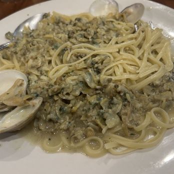 Mazzola's West Italian Restaurant - Linguine ala vongole - Italian Near Me - Davie, Florida Mazzola's West Italian Restaurant - Linguine ala vongole - Italian Near Me - Davie, Florida