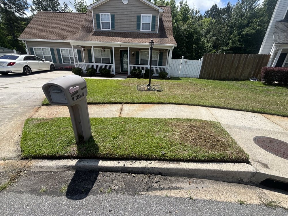 Yard Boys - tree service in Savannah, GA