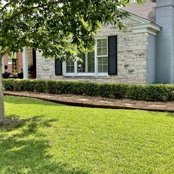 One Green Lawn Landscaping - a house with a tree and bushes - Lawn Services Near Me One Green Lawn Landscaping - a house with a tree and bushes - Lawn Services Near Me