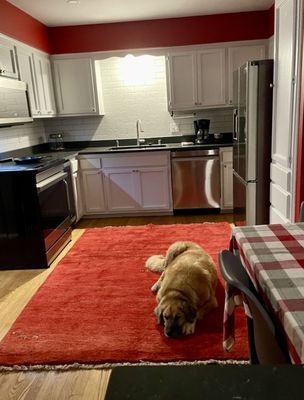 Oriental Rug Gallery