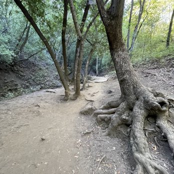 Nojoqui Falls County Park - Trail - Parks Near Me - Solvang, California Nojoqui Falls County Park - Trail - Parks Near Me - Solvang, California