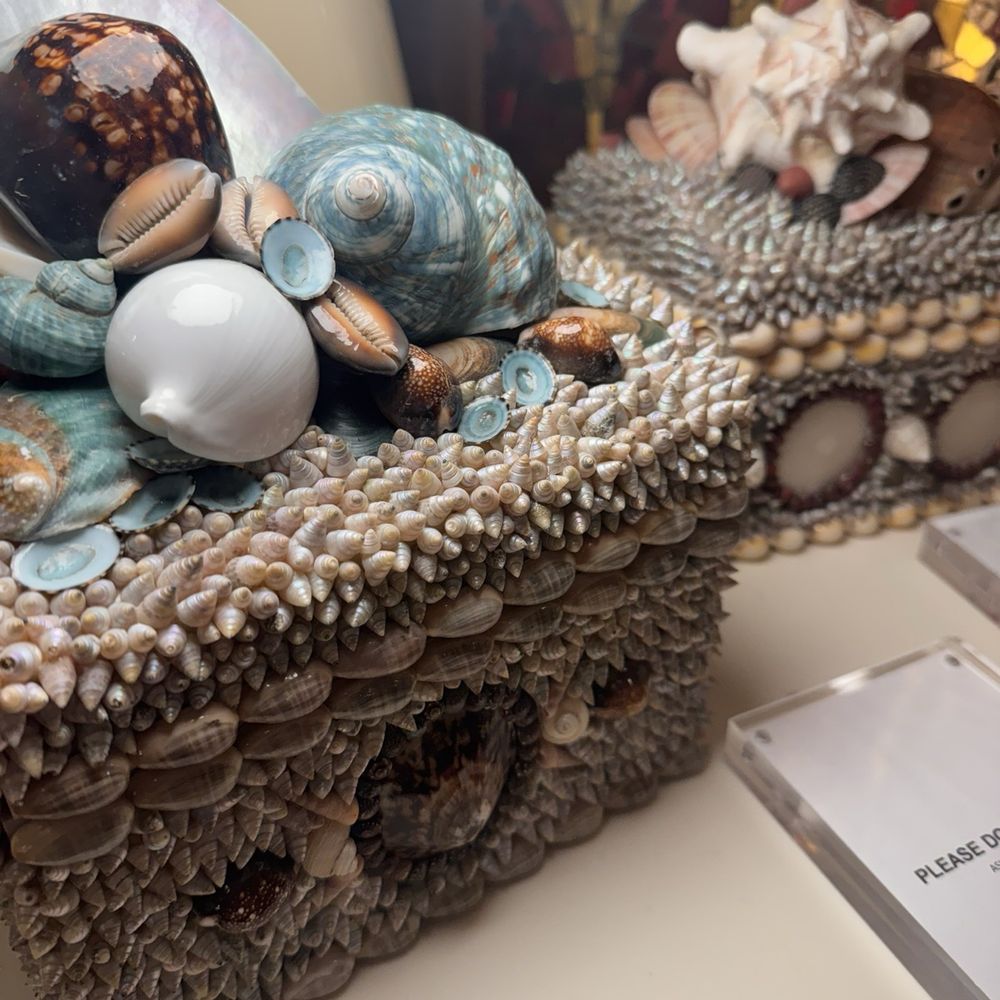 Gorgeous seashell jewelry boxes Gorgeous seashell jewelry boxes