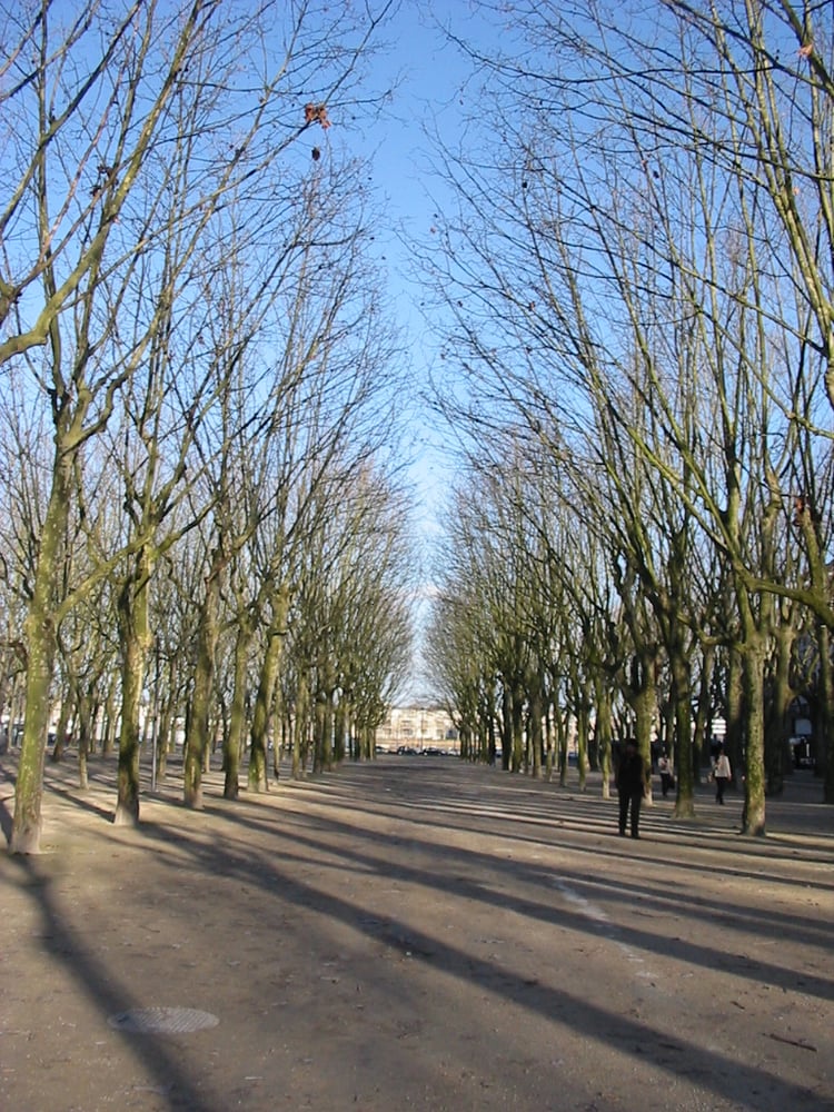 Parc des Allées d'Orléans