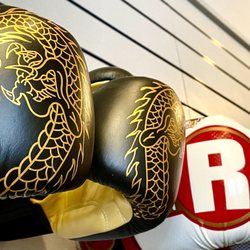 World Martial Arts Supply - Boxing Gloves