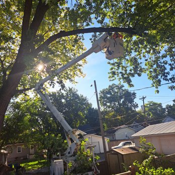 ATR Tree Service - Tree Services Near Me - Wood River, Illinois ATR Tree Service - Tree Services Near Me - Wood River, Illinois