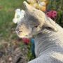 Photo of Rooterville Animal Sanctuary