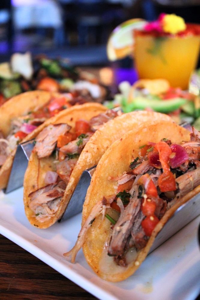 El Patron Mexican Grill & Cantina Logo