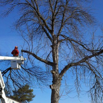 Harper Hill Forestry Products - Tree Services Near Me Harper Hill Forestry Products - Tree Services Near Me