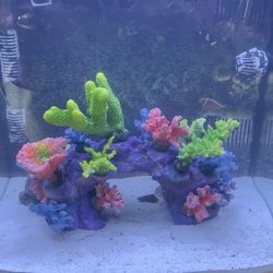 Instant Reef Aquarium Decorations