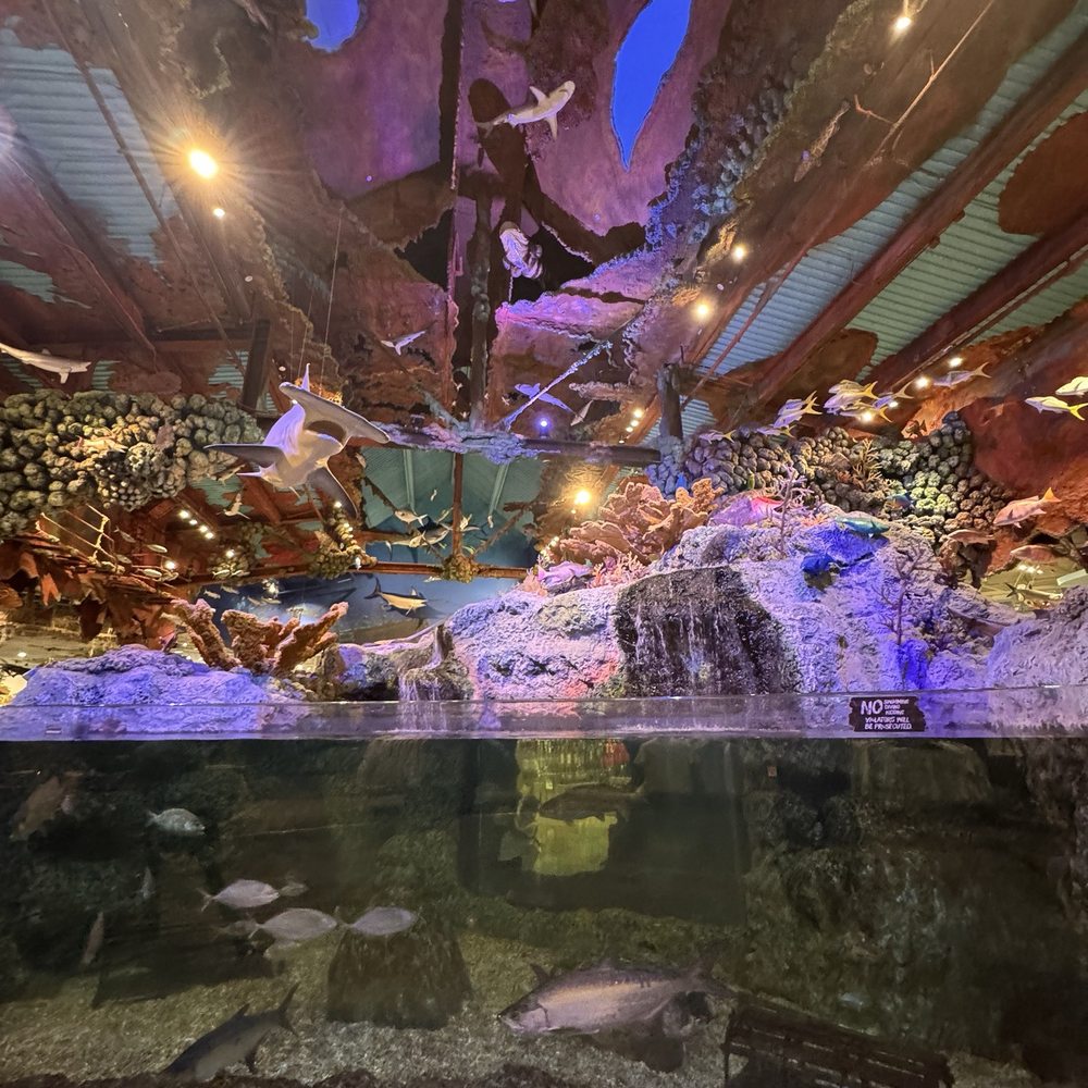 aquarium