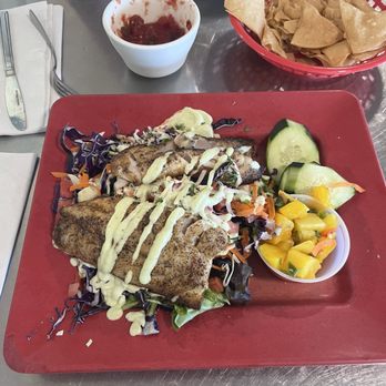 Taco Temple - Snapper Taco - Mexican Near Me - Morro Bay, California Taco Temple - Snapper Taco - Mexican Near Me - Morro Bay, California