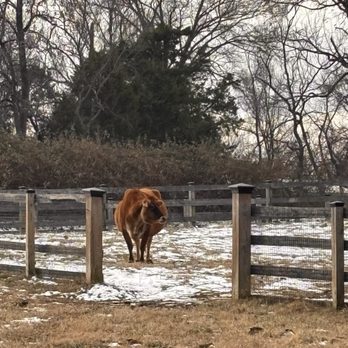 Oxon Hill Farm - Cows, pigs, horses, goat and chickens - Parks Near Me - Oxon Hill, Maryland Oxon Hill Farm - Cows, pigs, horses, goat and chickens - Parks Near Me - Oxon Hill, Maryland