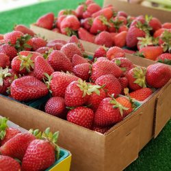 Strawberry Stand - Picked fresh everyday!!
