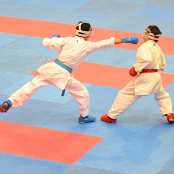 1. JKR Eishinkan Dojo