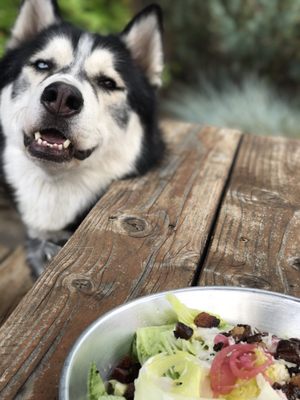 Pine Shed Ribs and Barbecue by null