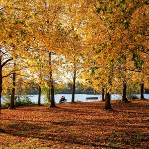 Green Lake Park on Yelp