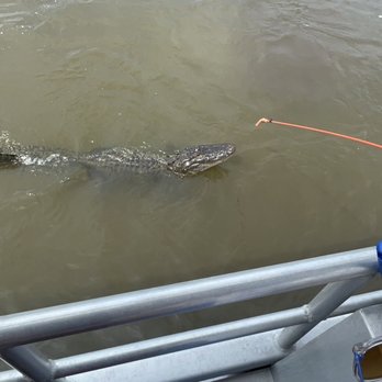 Airboat Adventures - Boat Tours Near Me - Lafitte, Louisiana Airboat Adventures - Boat Tours Near Me - Lafitte, Louisiana