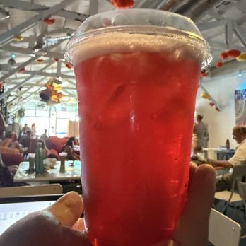 The Template - HIBISCUS KISS - Coffee & Tea Near Me - San Diego, California The Template - HIBISCUS KISS - Coffee & Tea Near Me - San Diego, California
