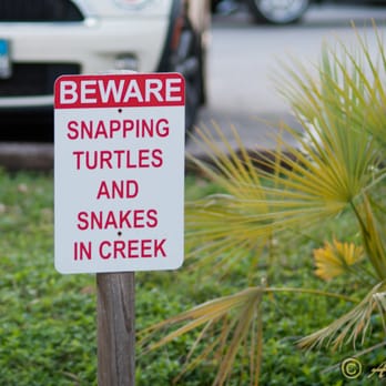 Cedar Creek - Bars Near Me - Houston, Texas Cedar Creek - Bars Near Me - Houston, Texas