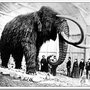 Photo of The Wooly