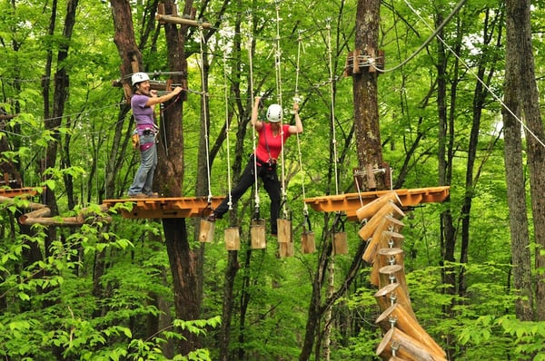 Treetop Trekking Huntsville by null