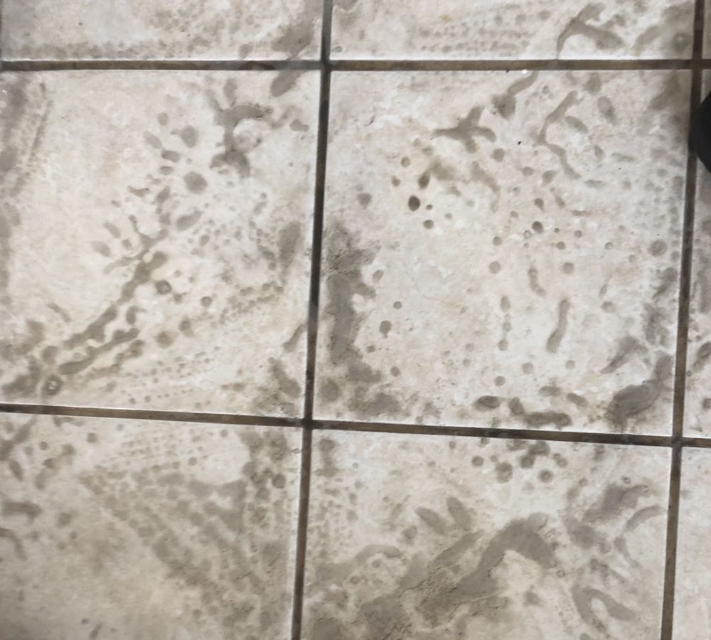 QUALITY CLEANING SERVICES Stockton, California Home Cleaning Phone Number Yelp