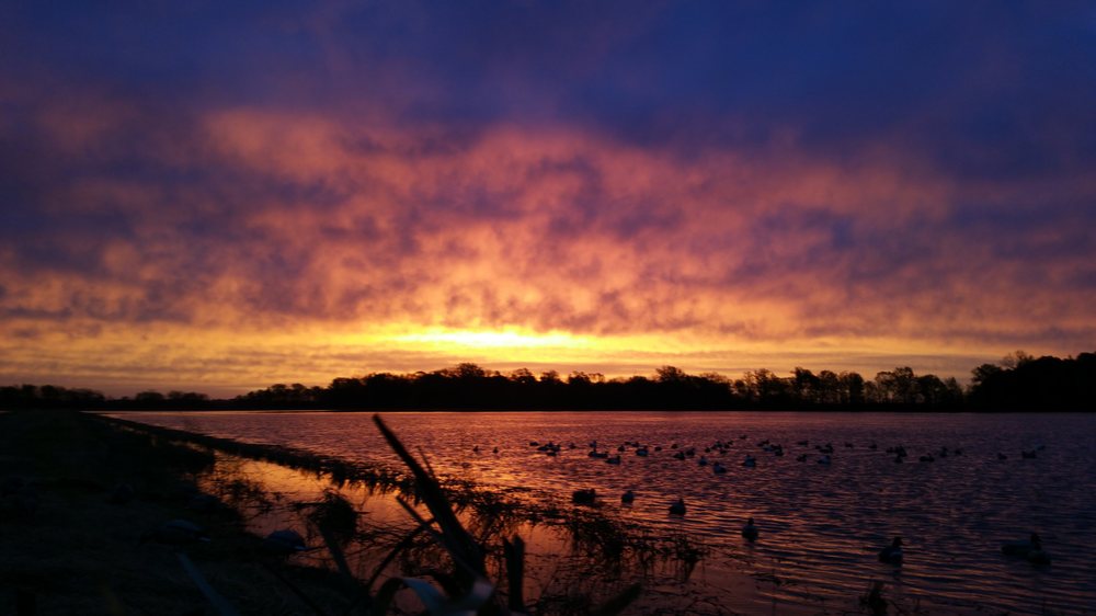 Weavers Waterfowl Logo