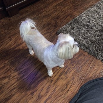 Paws Appeal Grooming - Pet Groomers Near Me - Lake Elsinore, California