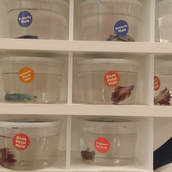 Petco 2019 All You Need To Know Before You Go With Photos Pet