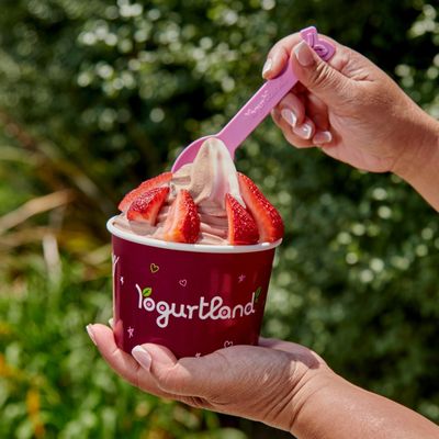Yogurtland Boca Park by null
