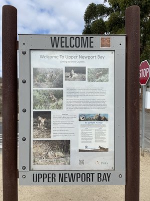 Upper Newport Bay Nature Preserve by null