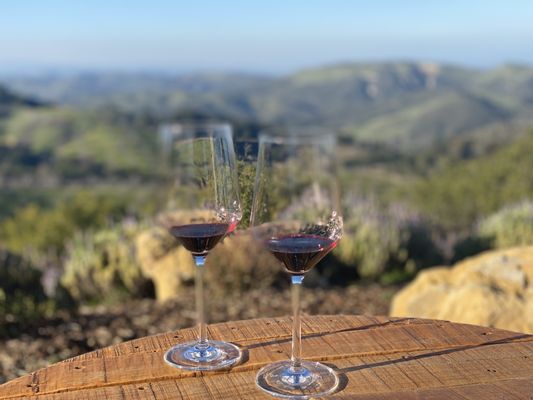 DAOU Vineyards by null