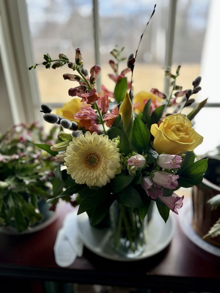 MOONSHELL DESIGN - Updated August 2025 - 33 Photos & 18 Reviews - 67 N ...